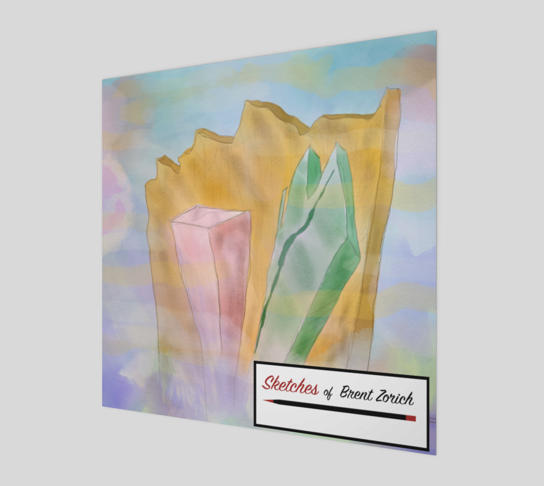 BRENT ZORICH PRINT 30A