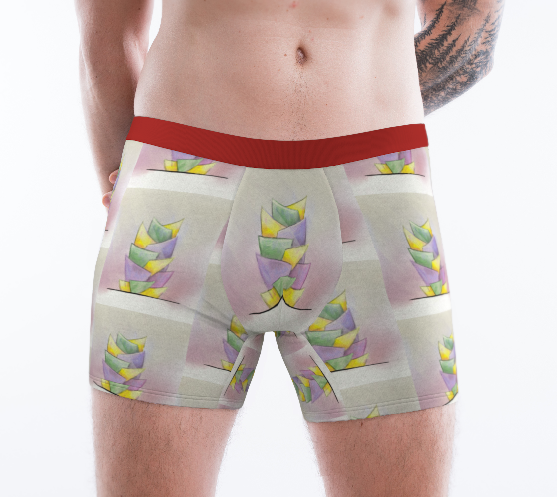 Zorich Boxers01