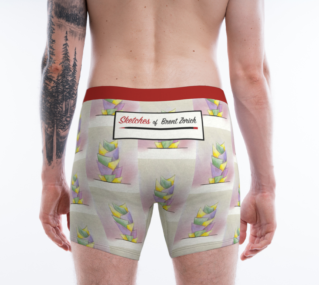 Zorich Boxers01