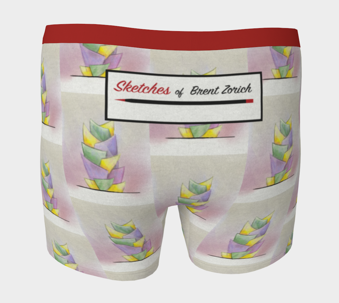 Zorich Boxers01
