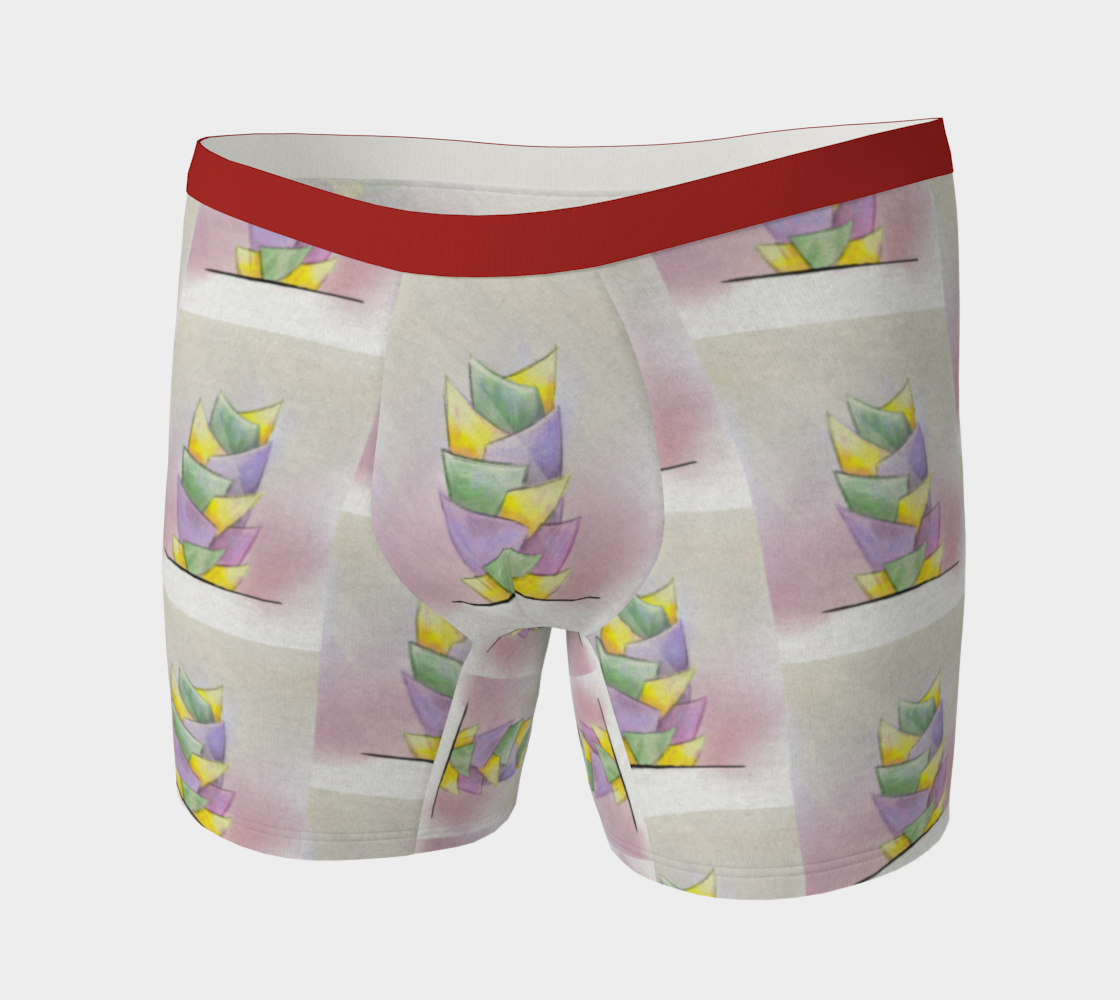 Zorich Boxers01